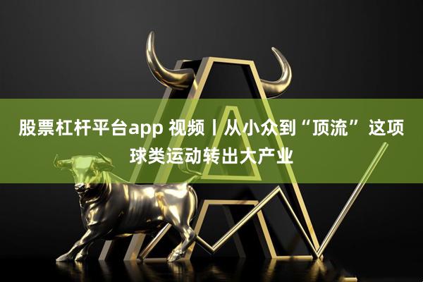 股票杠杆平台app 视频丨从小众到“顶流” 这项球类运动转出大产业