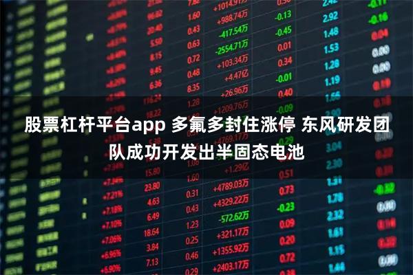 股票杠杆平台app 多氟多封住涨停 东风研发团队成功开发出半固态电池